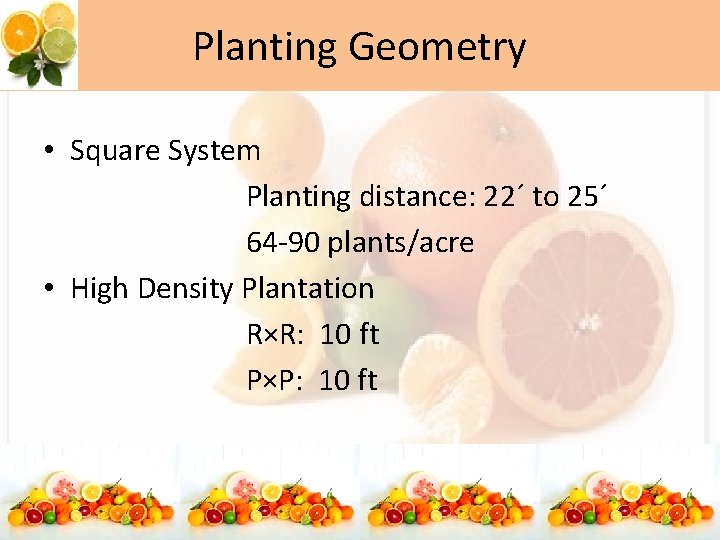 Planting Geometry • Square System Planting distance: 22´ to 25´ 64 -90 plants/acre •