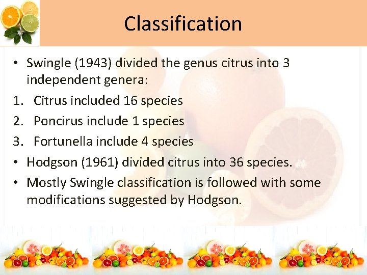 Classification • Swingle (1943) divided the genus citrus into 3 independent genera: 1. Citrus