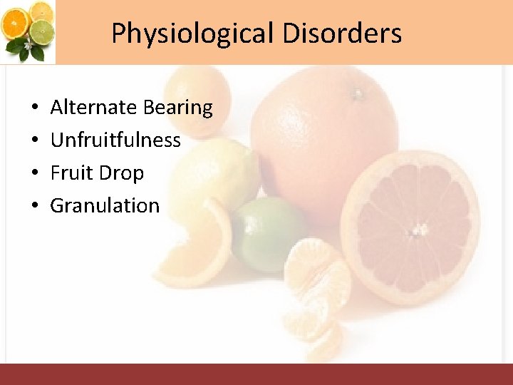 Physiological Disorders • • Alternate Bearing Unfruitfulness Fruit Drop Granulation 