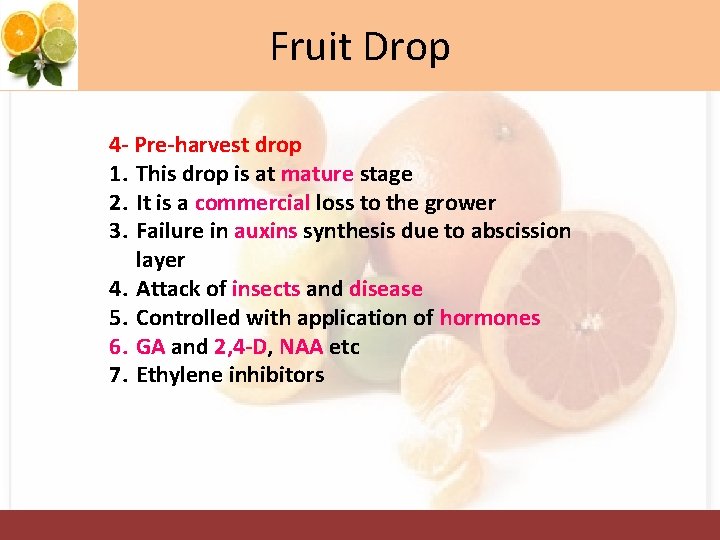 Fruit Drop 4 - Pre-harvest drop 1. This drop is at mature stage 2.