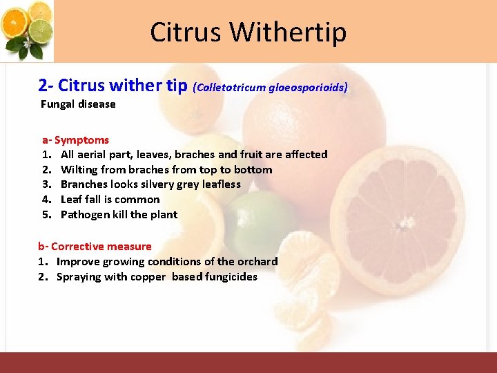 Citrus Withertip 2 - Citrus wither tip (Colletotricum gloeosporioids) Fungal disease a- Symptoms 1.