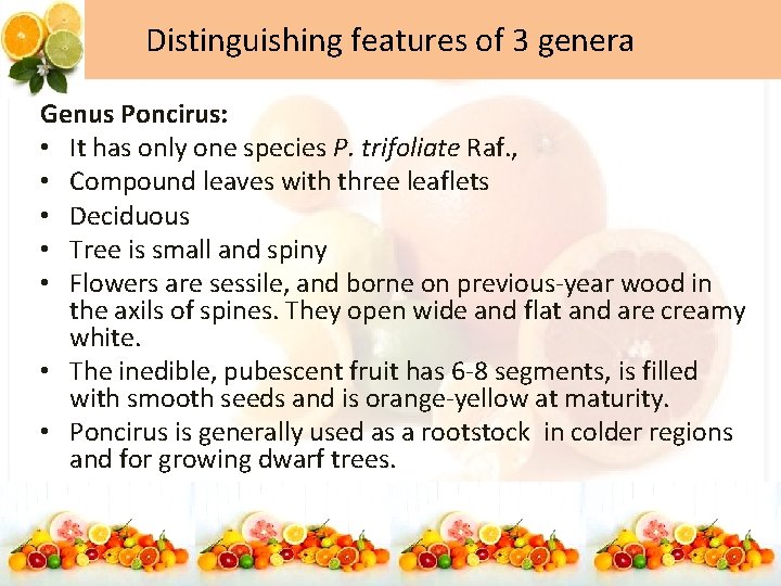 Distinguishing features of 3 genera Genus Poncirus: • It has only one species P.