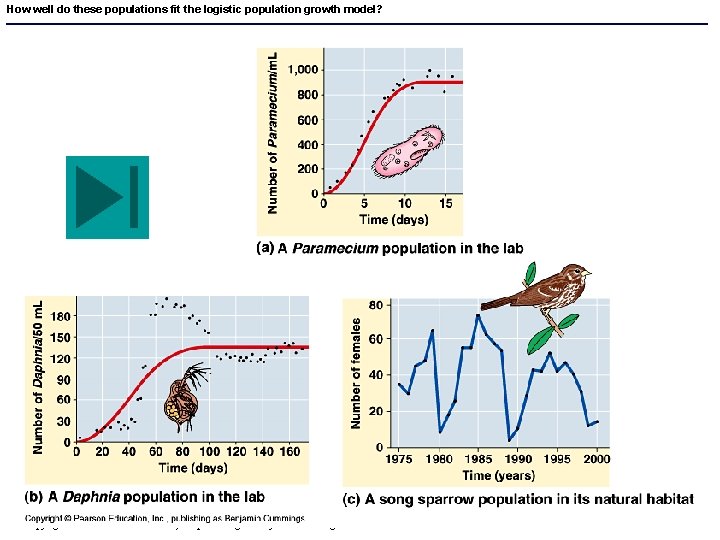 How well do these populations fit the logistic population growth model? Copyright © 2005