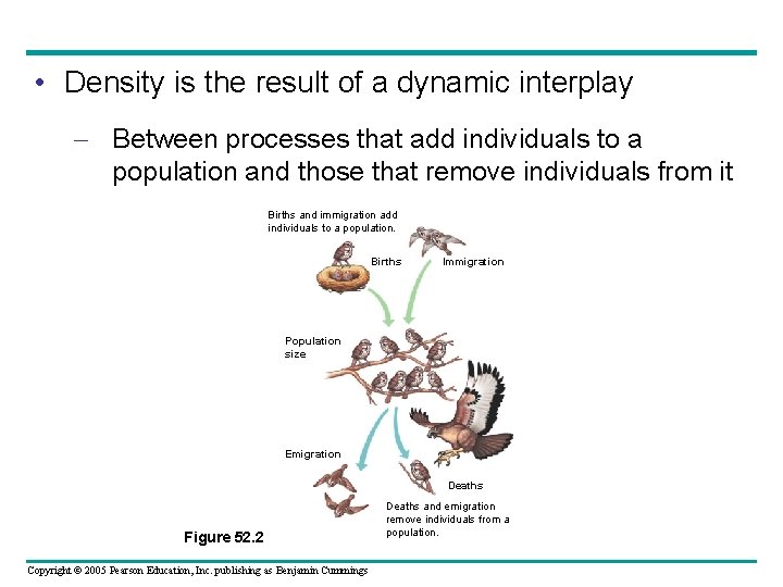  • Density is the result of a dynamic interplay – Between processes that