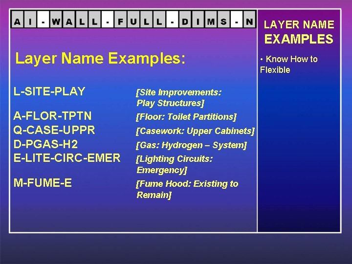 LAYER NAME EXAMPLES Layer Name Examples: L-SITE-PLAY [Site Improvements: Play Structures] A-FLOR-TPTN Q-CASE-UPPR D-PGAS-H