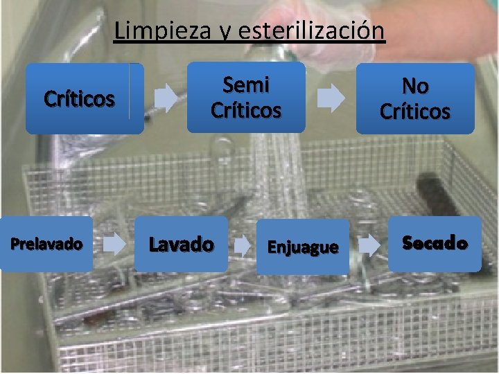 Limpieza y esterilización Críticos Prelavado Semi Críticos Lavado Enjuague No Críticos Secado 