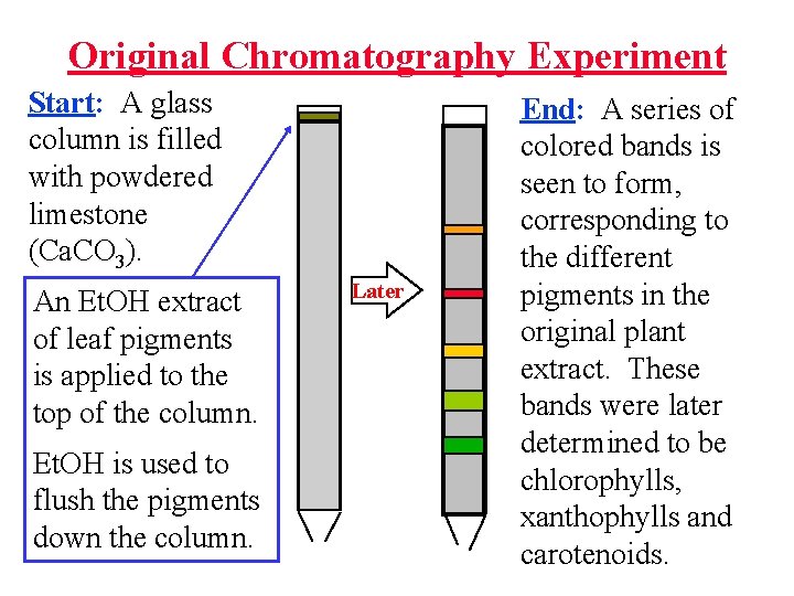 Original Chromatography Experiment Start: A glass column is filled with powdered limestone (Ca. CO
