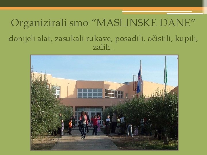 Organizirali smo “MASLINSKE DANE” donijeli alat, zasukali rukave, posadili, očistili, kupili, zalili. . 