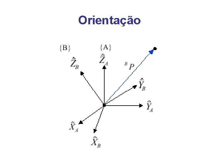 Orientação 