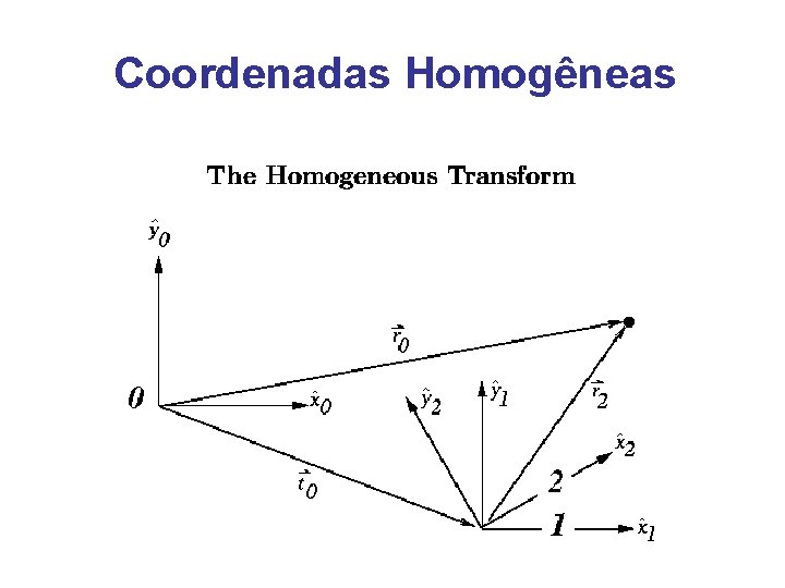 Coordenadas Homogêneas 