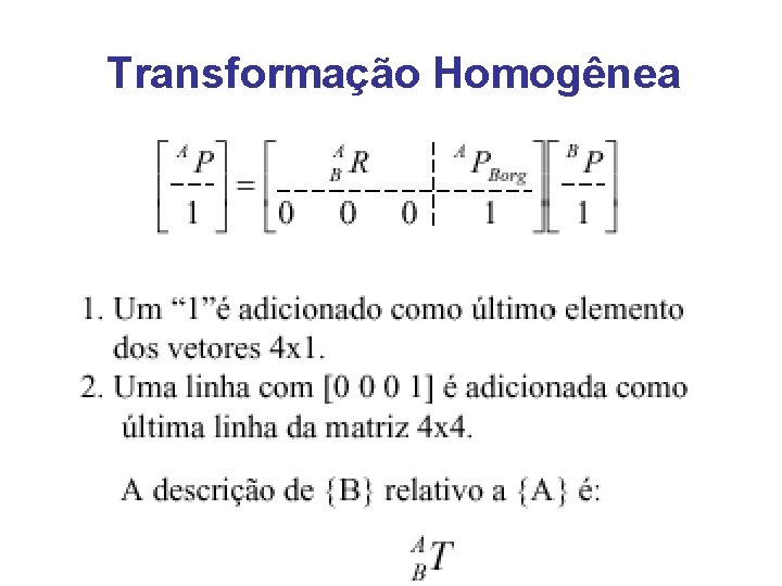 Transformação Homogênea 