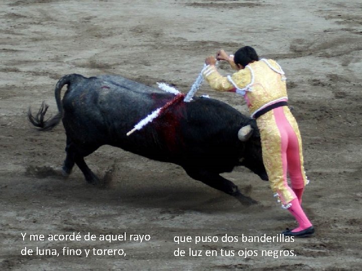 Y me acordé de aquel rayo de luna, fino y torero, que puso dos