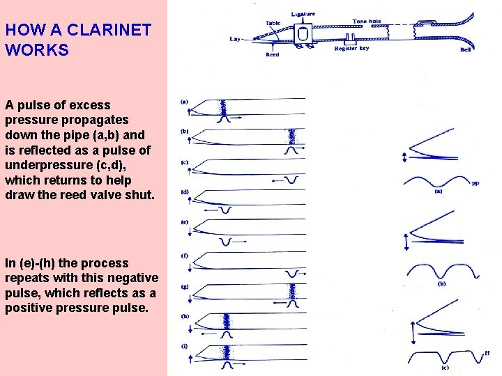 HOW A CLARINET WORKS A pulse of excess pressure propagates down the pipe (a,