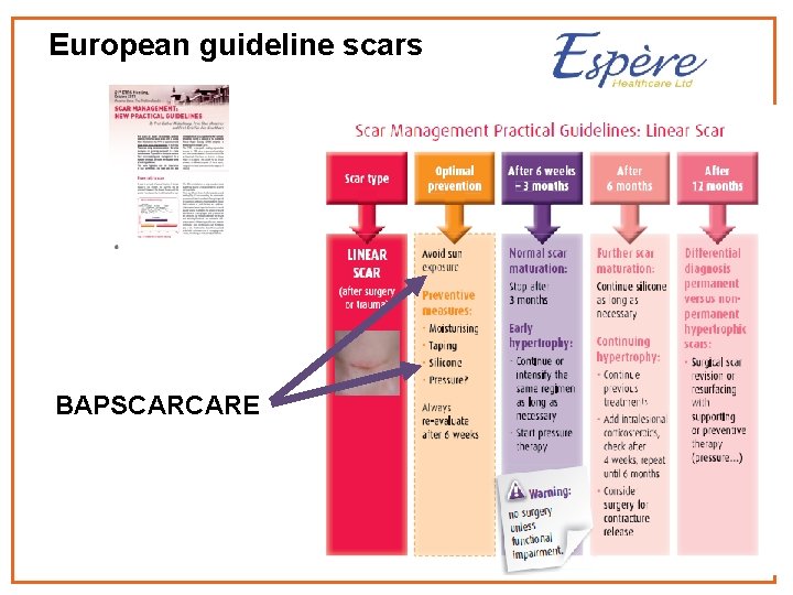 European guideline scars BAPSCARCARE 