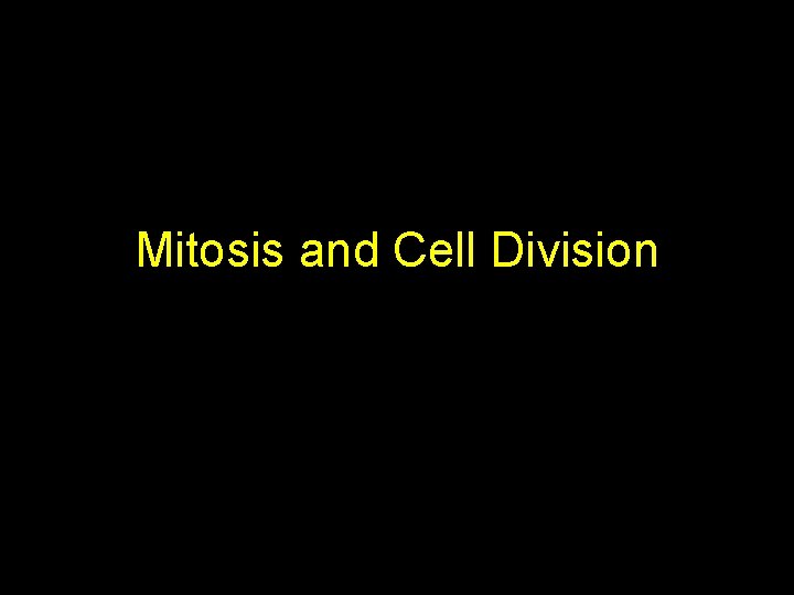 Mitosis and Cell Division 