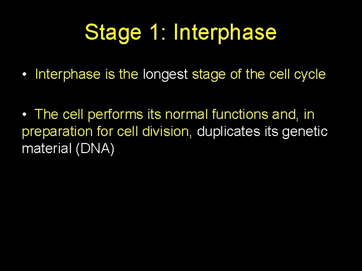 Stage 1: Interphase • Interphase is the longest stage of the cell cycle •