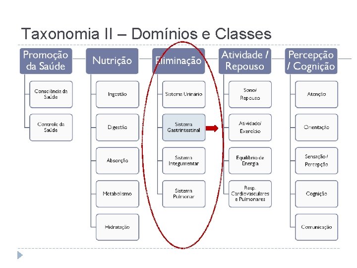 Taxonomia II – Domínios e Classes 