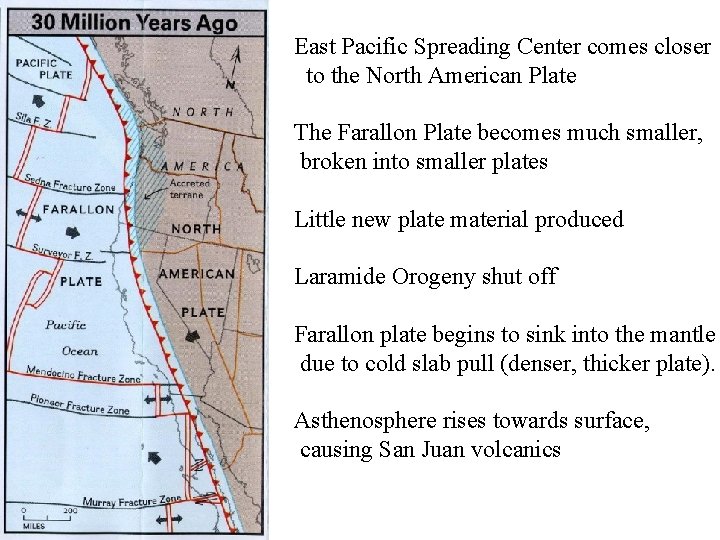 East Pacific Spreading Center comes closer to the North American Plate The Farallon Plate
