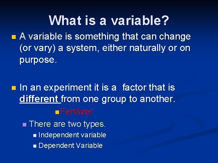 What is a variable? n A variable is something that can change (or vary)