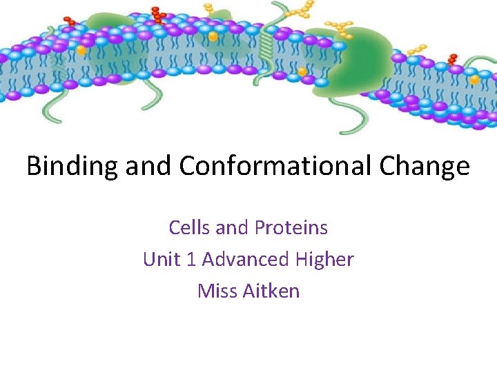 Binding and Conformational Change Cells and Proteins Unit 1 Advanced Higher Miss Aitken 