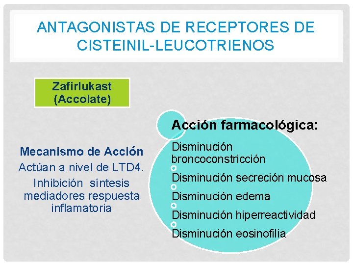 ANTAGONISTAS DE RECEPTORES DE CISTEINIL-LEUCOTRIENOS Zafirlukast (Accolate) Acción farmacológica: Mecanismo de Acción Actúan a ANTAGONISTAS DE RECEPTORES DE CISTEINIL-LEUCOTRIENOS Zafirlukast (Accolate) Acción farmacológica: Mecanismo de Acción Actúan a