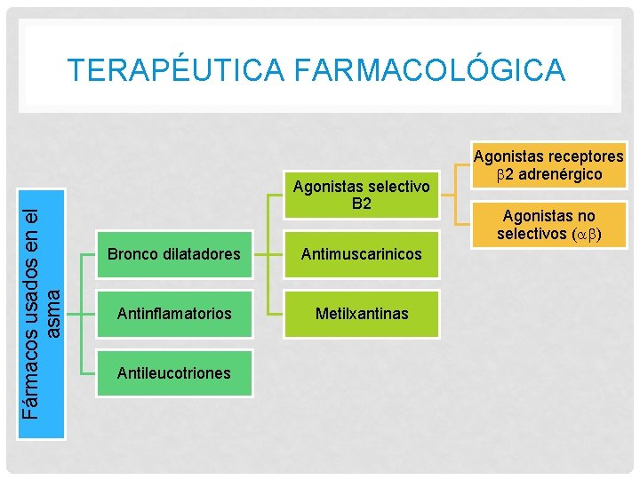 Fármacos usados en el asma TERAPÉUTICA FARMACOLÓGICA Agonistas selectivo B 2 Bronco dilatadores Antimuscarinicos Fármacos usados en el asma TERAPÉUTICA FARMACOLÓGICA Agonistas selectivo B 2 Bronco dilatadores Antimuscarinicos
