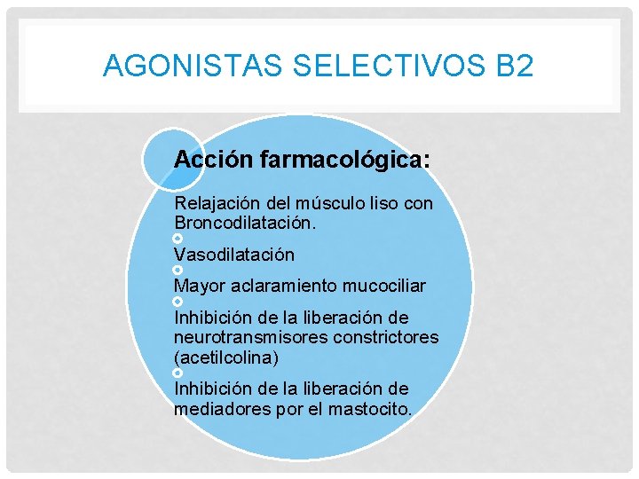 AGONISTAS SELECTIVOS B 2 Acción farmacológica: Relajación del músculo liso con Broncodilatación. Vasodilatación Mayor AGONISTAS SELECTIVOS B 2 Acción farmacológica: Relajación del músculo liso con Broncodilatación. Vasodilatación Mayor