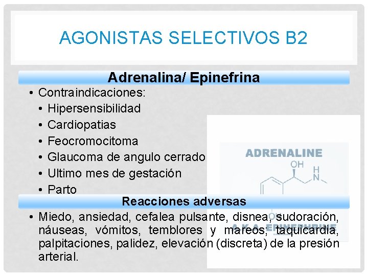 AGONISTAS SELECTIVOS B 2 Adrenalina/ Epinefrina • Contraindicaciones: • Hipersensibilidad • Cardiopatias • Feocromocitoma AGONISTAS SELECTIVOS B 2 Adrenalina/ Epinefrina • Contraindicaciones: • Hipersensibilidad • Cardiopatias • Feocromocitoma