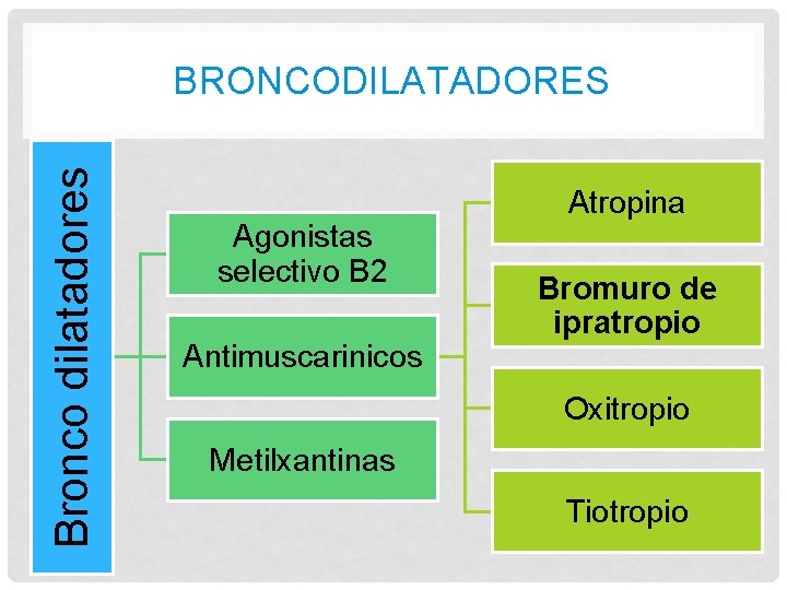 Bronco dilatadores BRONCODILATADORES Agonistas selectivo B 2 Antimuscarinicos Atropina Bromuro de ipratropio Oxitropio Metilxantinas Bronco dilatadores BRONCODILATADORES Agonistas selectivo B 2 Antimuscarinicos Atropina Bromuro de ipratropio Oxitropio Metilxantinas