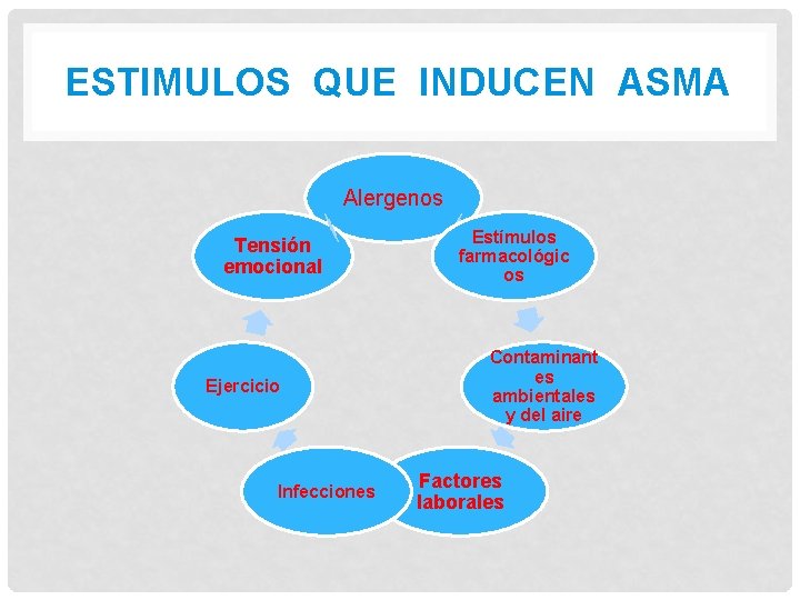 ESTIMULOS QUE INDUCEN ASMA Alergenos Tensión emocional Ejercicio Infecciones Estímulos farmacológic os Contaminant es ESTIMULOS QUE INDUCEN ASMA Alergenos Tensión emocional Ejercicio Infecciones Estímulos farmacológic os Contaminant es