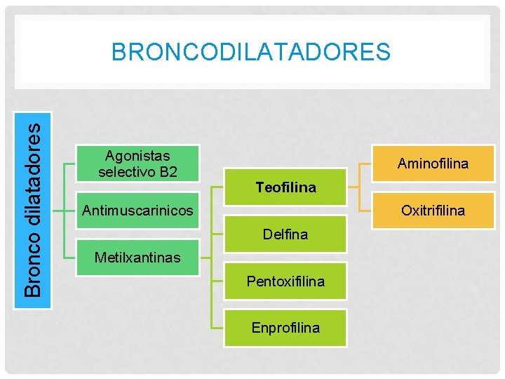 Bronco dilatadores BRONCODILATADORES Agonistas selectivo B 2 Aminofilina Teofilina Antimuscarinicos Oxitrifilina Delfina Metilxantinas Pentoxifilina Bronco dilatadores BRONCODILATADORES Agonistas selectivo B 2 Aminofilina Teofilina Antimuscarinicos Oxitrifilina Delfina Metilxantinas Pentoxifilina