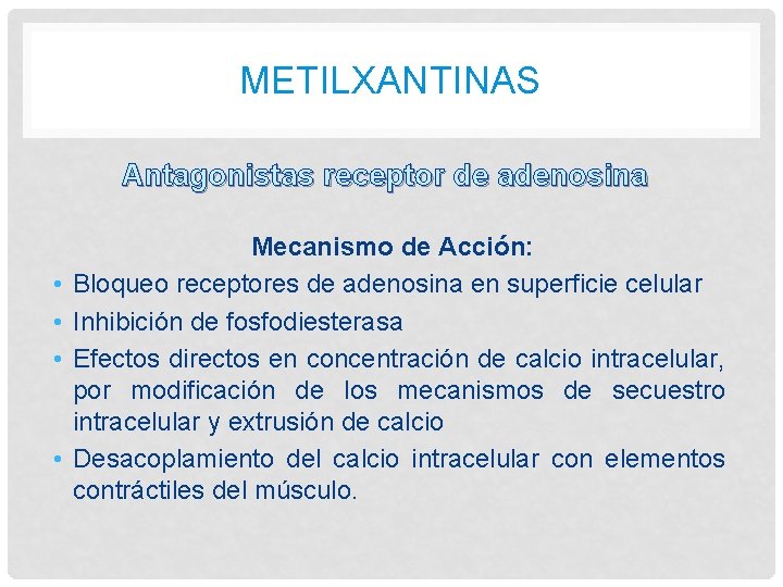 METILXANTINAS Antagonistas receptor de adenosina • • Mecanismo de Acción: Bloqueo receptores de adenosina METILXANTINAS Antagonistas receptor de adenosina • • Mecanismo de Acción: Bloqueo receptores de adenosina
