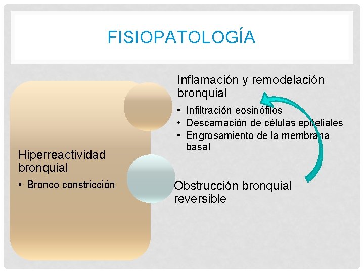 FISIOPATOLOGÍA Inflamación y remodelación bronquial Hiperreactividad bronquial • Bronco constricción • Infiltración eosinófilos • FISIOPATOLOGÍA Inflamación y remodelación bronquial Hiperreactividad bronquial • Bronco constricción • Infiltración eosinófilos •
