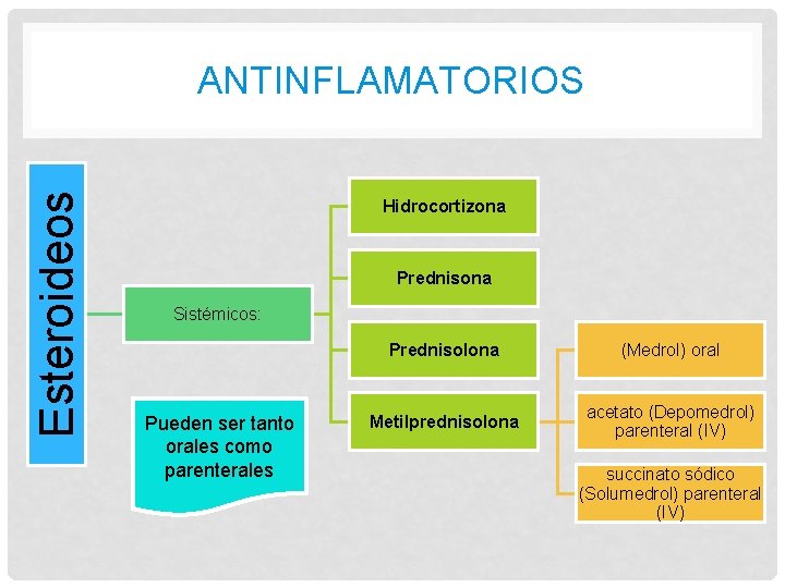 Esteroideos ANTINFLAMATORIOS Hidrocortizona Prednisona Sistémicos: Pueden ser tanto orales como parenterales Prednisolona (Medrol) oral Esteroideos ANTINFLAMATORIOS Hidrocortizona Prednisona Sistémicos: Pueden ser tanto orales como parenterales Prednisolona (Medrol) oral
