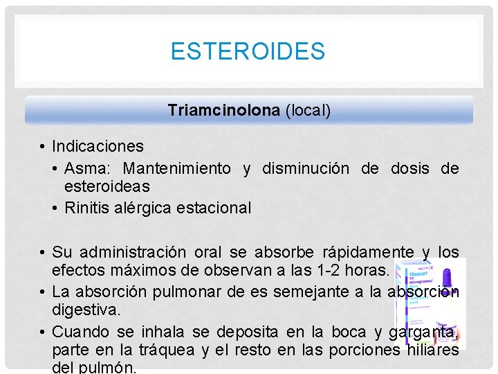 ESTEROIDES Triamcinolona (local) • Indicaciones • Asma: Mantenimiento y disminución de dosis de esteroideas ESTEROIDES Triamcinolona (local) • Indicaciones • Asma: Mantenimiento y disminución de dosis de esteroideas