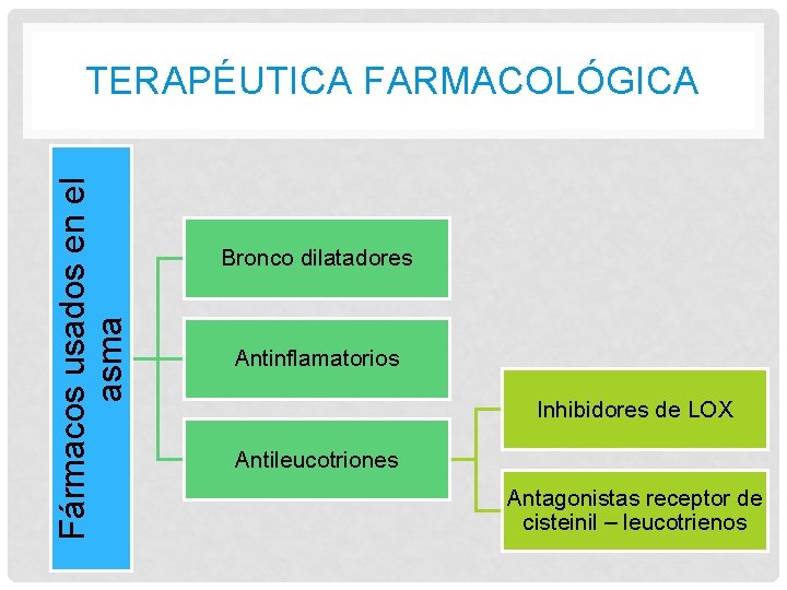 Fármacos usados en el asma TERAPÉUTICA FARMACOLÓGICA Bronco dilatadores Antinflamatorios Inhibidores de LOX Antileucotriones Fármacos usados en el asma TERAPÉUTICA FARMACOLÓGICA Bronco dilatadores Antinflamatorios Inhibidores de LOX Antileucotriones