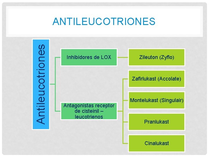 Antileucotriones ANTILEUCOTRIONES Inhibidores de LOX Zileuton (Zyflo) Zafirlukast (Accolate) Antagonistas receptor de cisteinil – Antileucotriones ANTILEUCOTRIONES Inhibidores de LOX Zileuton (Zyflo) Zafirlukast (Accolate) Antagonistas receptor de cisteinil –