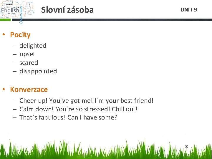 Slovní zásoba UNIT 9 • Pocity – – delighted upset scared disappointed • Konverzace