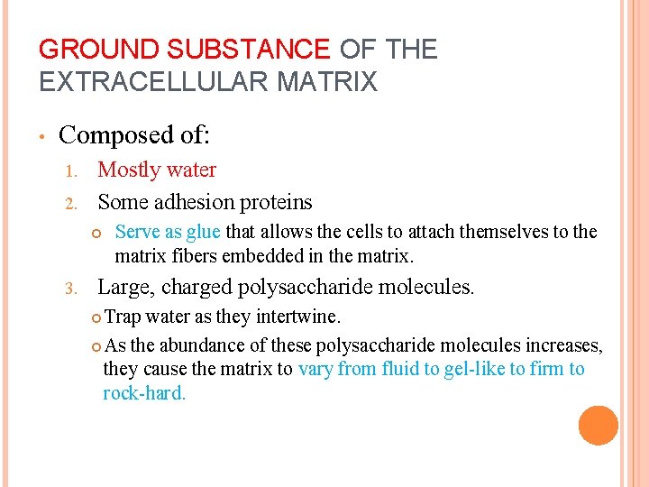 GROUND SUBSTANCE OF THE EXTRACELLULAR MATRIX • Composed of: Mostly water 2. Some adhesion