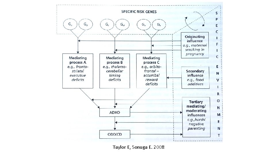 Taylor E, Sonuga E. 2008 