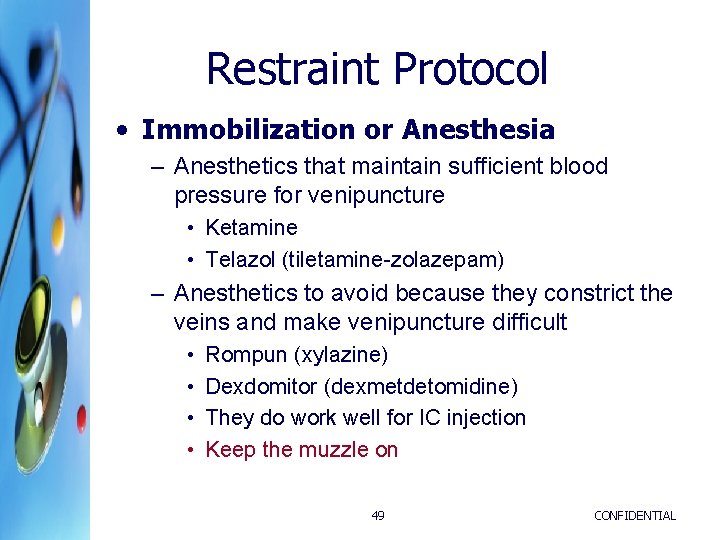 Restraint Protocol • Immobilization or Anesthesia – Anesthetics that maintain sufficient blood pressure for Restraint Protocol • Immobilization or Anesthesia – Anesthetics that maintain sufficient blood pressure for