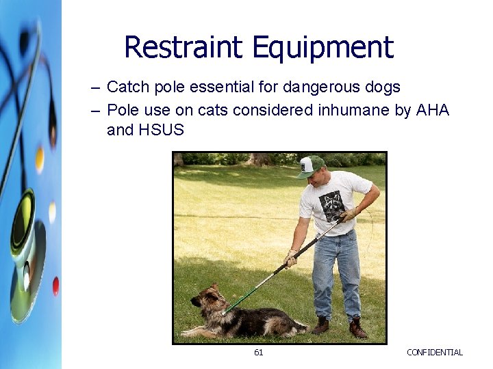 Restraint Equipment – Catch pole essential for dangerous dogs – Pole use on cats Restraint Equipment – Catch pole essential for dangerous dogs – Pole use on cats