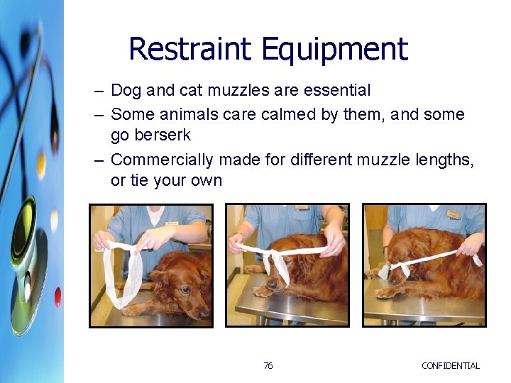 Restraint Equipment – Dog and cat muzzles are essential – Some animals care calmed Restraint Equipment – Dog and cat muzzles are essential – Some animals care calmed