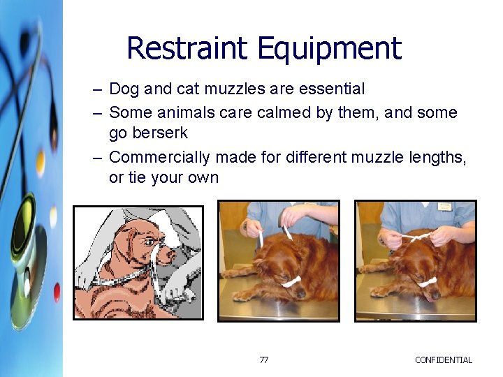 Restraint Equipment – Dog and cat muzzles are essential – Some animals care calmed Restraint Equipment – Dog and cat muzzles are essential – Some animals care calmed