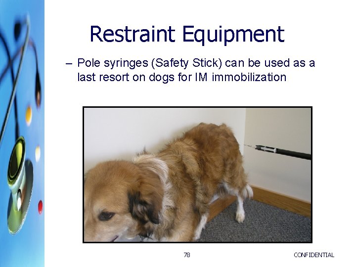 Restraint Equipment – Pole syringes (Safety Stick) can be used as a last resort Restraint Equipment – Pole syringes (Safety Stick) can be used as a last resort