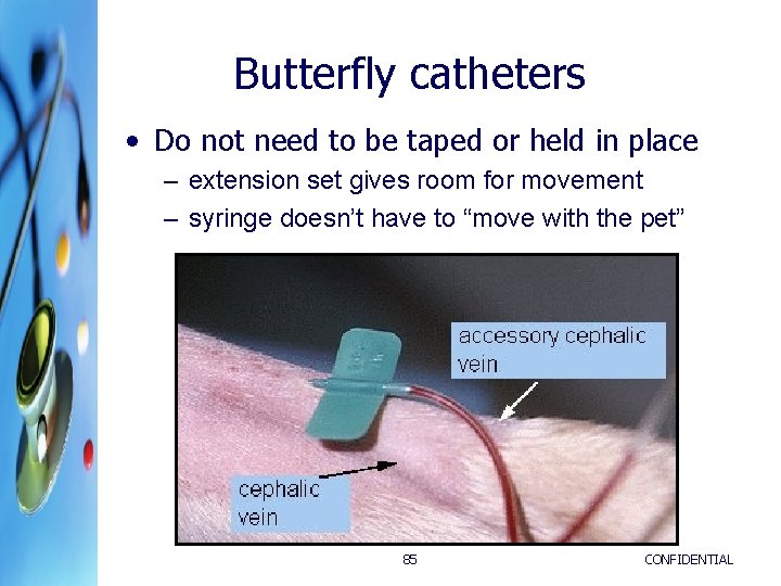 Butterfly catheters • Do not need to be taped or held in place – Butterfly catheters • Do not need to be taped or held in place –