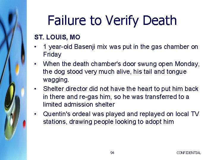 Failure to Verify Death ST. LOUIS, MO • 1 year-old Basenji mix was put Failure to Verify Death ST. LOUIS, MO • 1 year-old Basenji mix was put