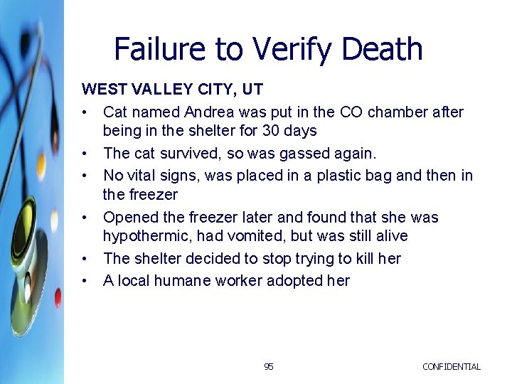 Failure to Verify Death WEST VALLEY CITY, UT • Cat named Andrea was put Failure to Verify Death WEST VALLEY CITY, UT • Cat named Andrea was put