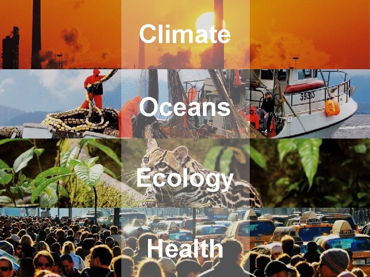 Climate Oceans Ecology Health 