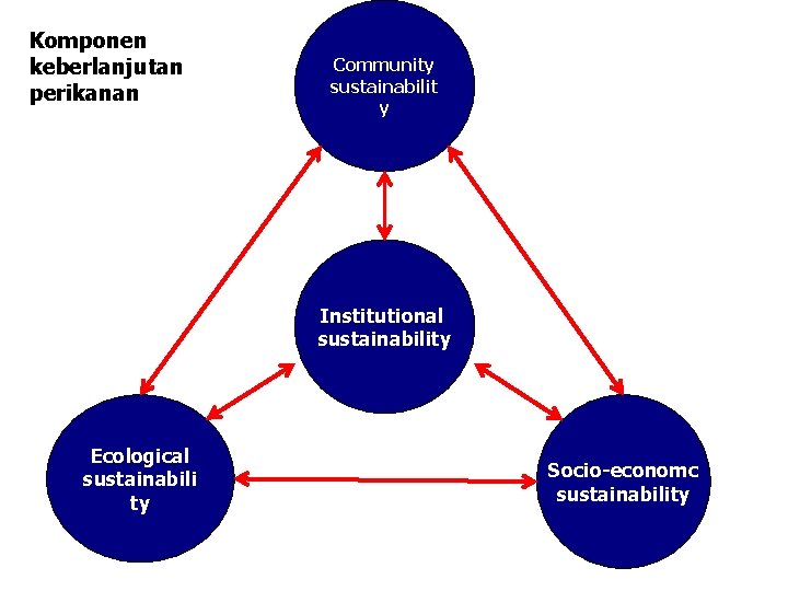 Komponen keberlanjutan perikanan Community sustainabilit y Institutional sustainability Ecological sustainabili ty Socio-economc sustainability 